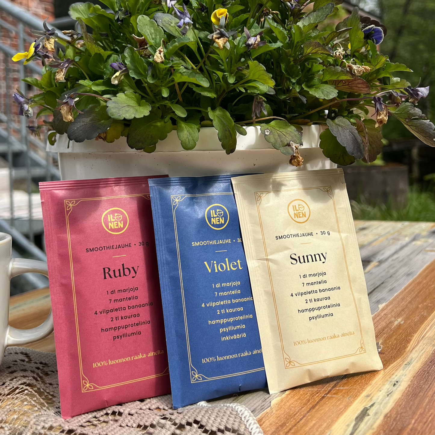 Smoothiepack 24